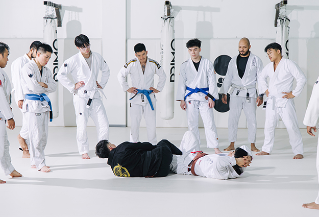 Jiu Jitsu For Adults